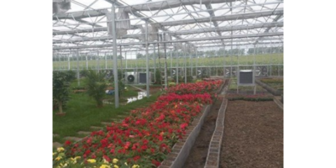 谷城特色農業(yè)信息咨詢服務 賦能鄉(xiāng)村振興，創(chuàng)造產業(yè)輝煌