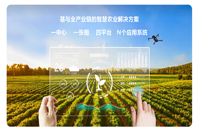 農業(yè)項目公示網(wǎng)站 推動農業(yè)現(xiàn)代化的新引擎