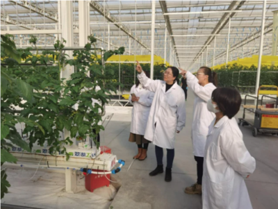 田間地頭最美風景線 巾幗科技賦能鄉村振興